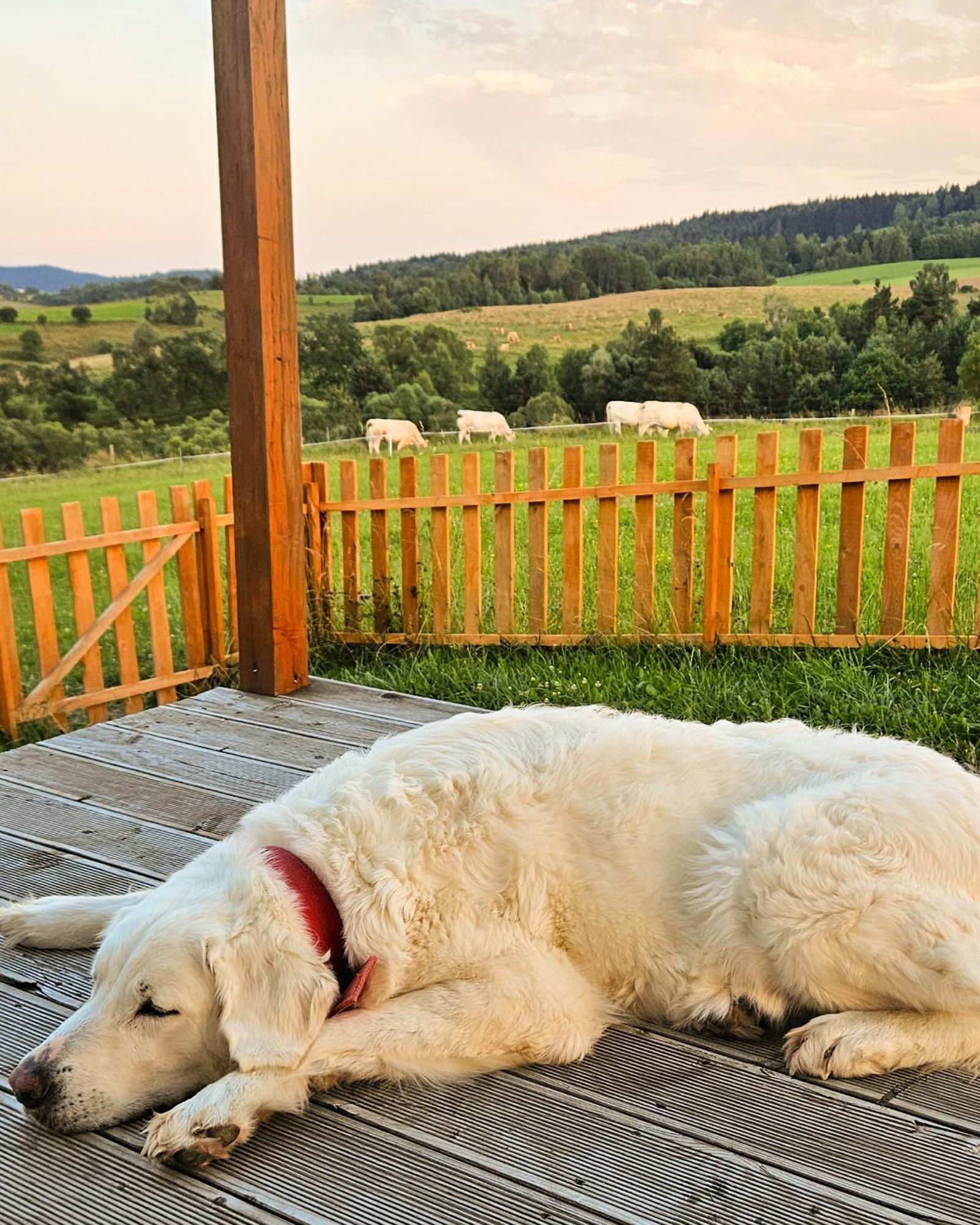 Chalet Pastelova Krova - W Bieszczadach Ustrzyki Dolne